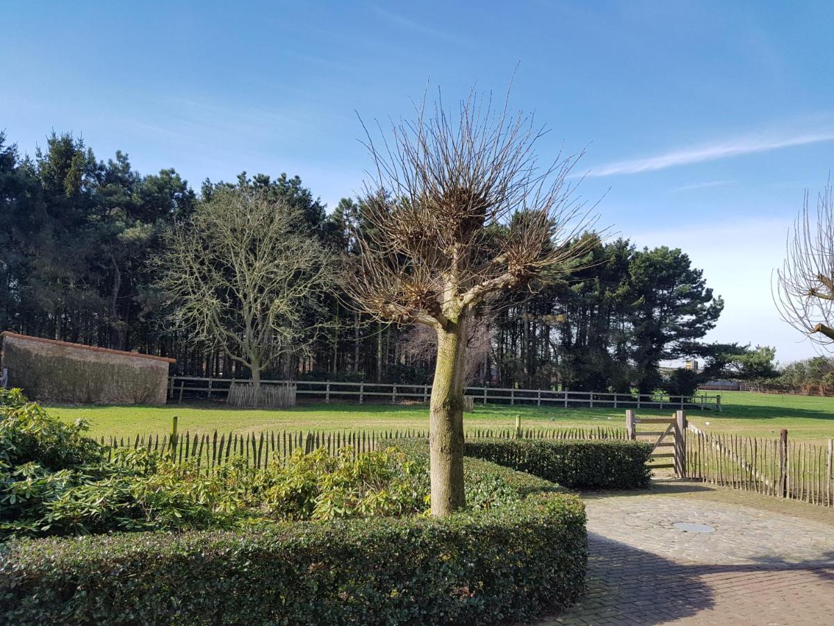 B&B Bergenhof Hoogstraten Eksteriør bilde